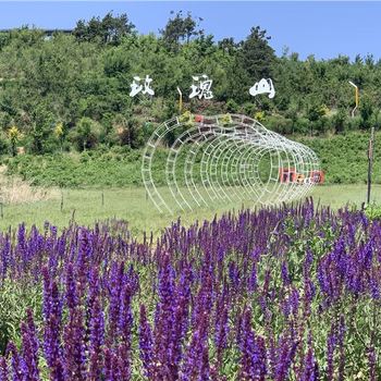 【风景名胜】四平市二龙湖玫瑰山