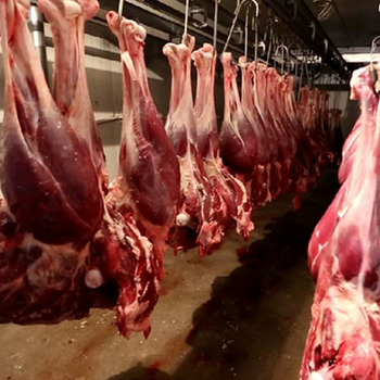 延边鸵鸟肉2.5kg