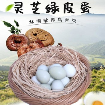 【新农人】灵芝绿皮蛋30个/盒